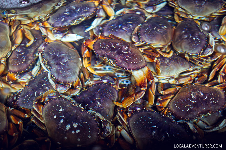 Dungeness Crab Oregon Coast + When and Where to go Crabbing in Oregon // localadventurer.com