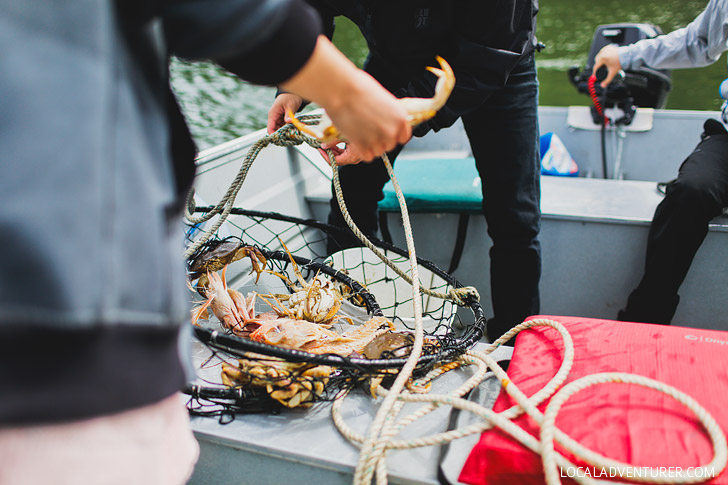 Dungeness Crab Season + Essential Tips for Crabbing in Oregon // localadventurer.com