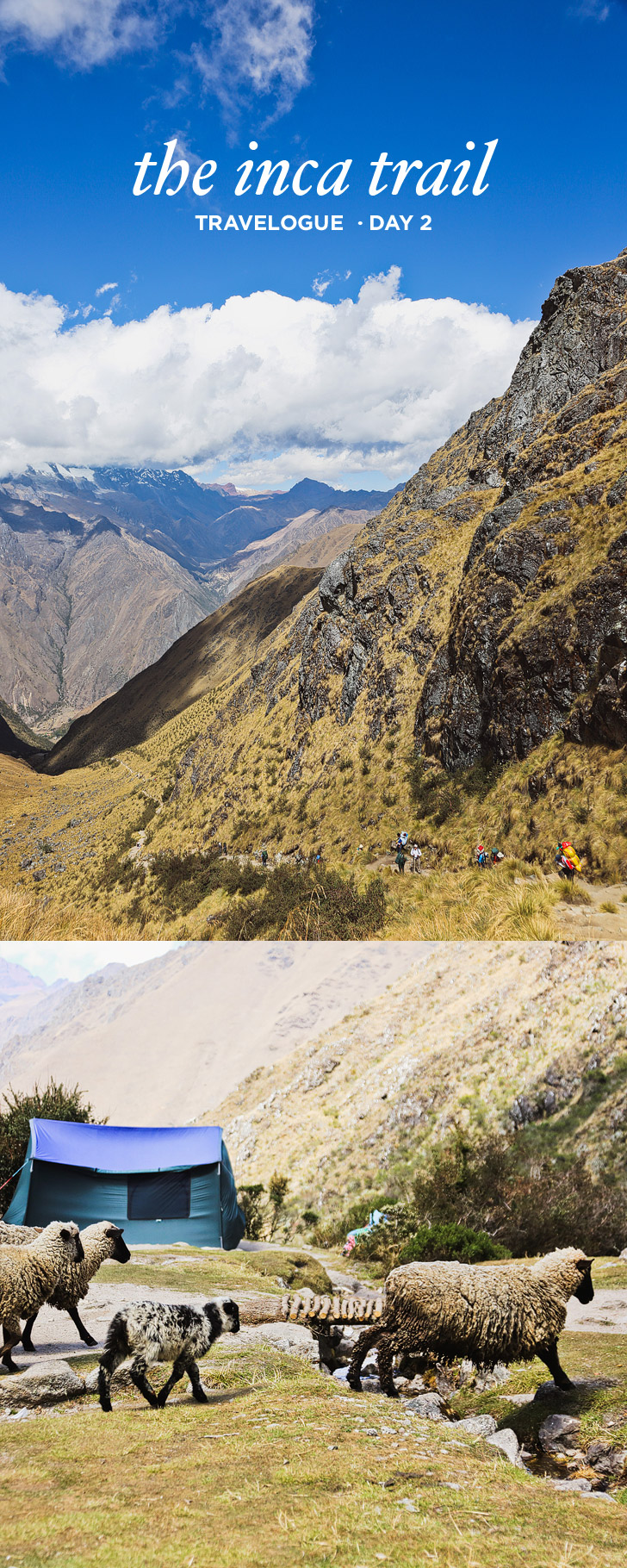 Brutal Climb to Dead Woman's Pass + How to Hike the Inca Trail Day 2 // localadventurer.com