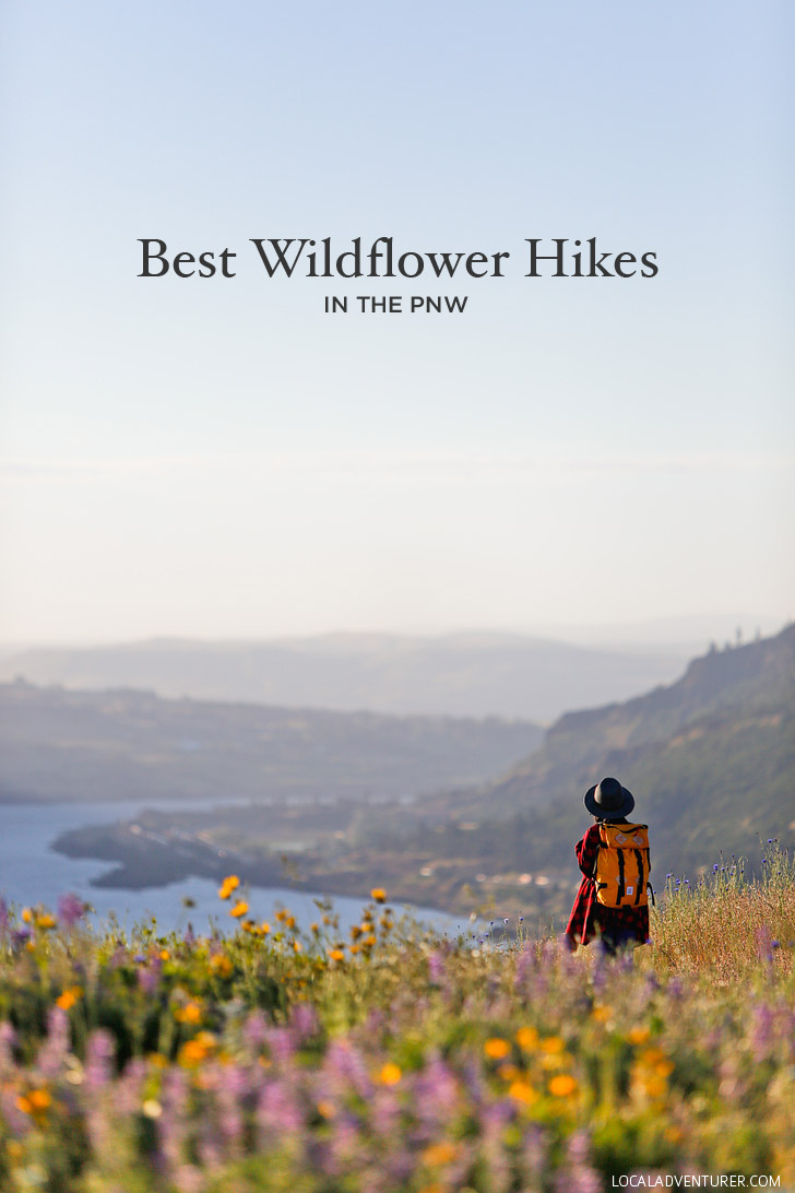 Best Wildflower Hikes in the PNW - Where to Find the Best Wildflowers in the Pacific Northwest // localadventurer.com