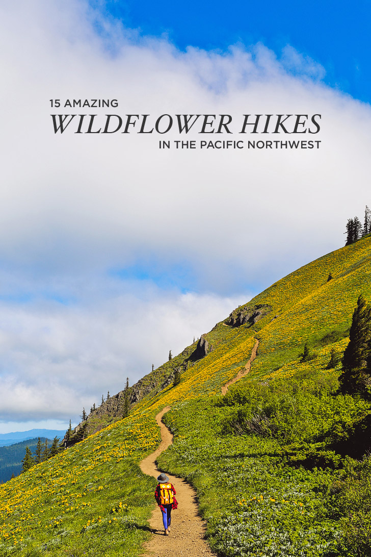 15 Amazing Wildflower Hikes in the Pacific Northwest // localadventurer.com