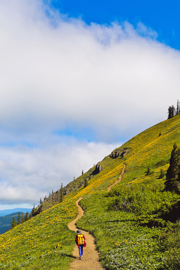 Dog Mountain Trail - Best Wildflower Hike Near Portland Oregon // localadventurer.com