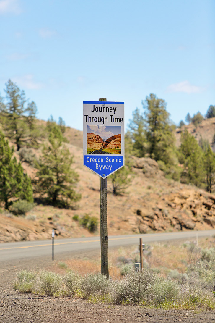 John Day Fossil Beds Clarno Unit + Your Essential Guide to the National Monument // localadventurer.com