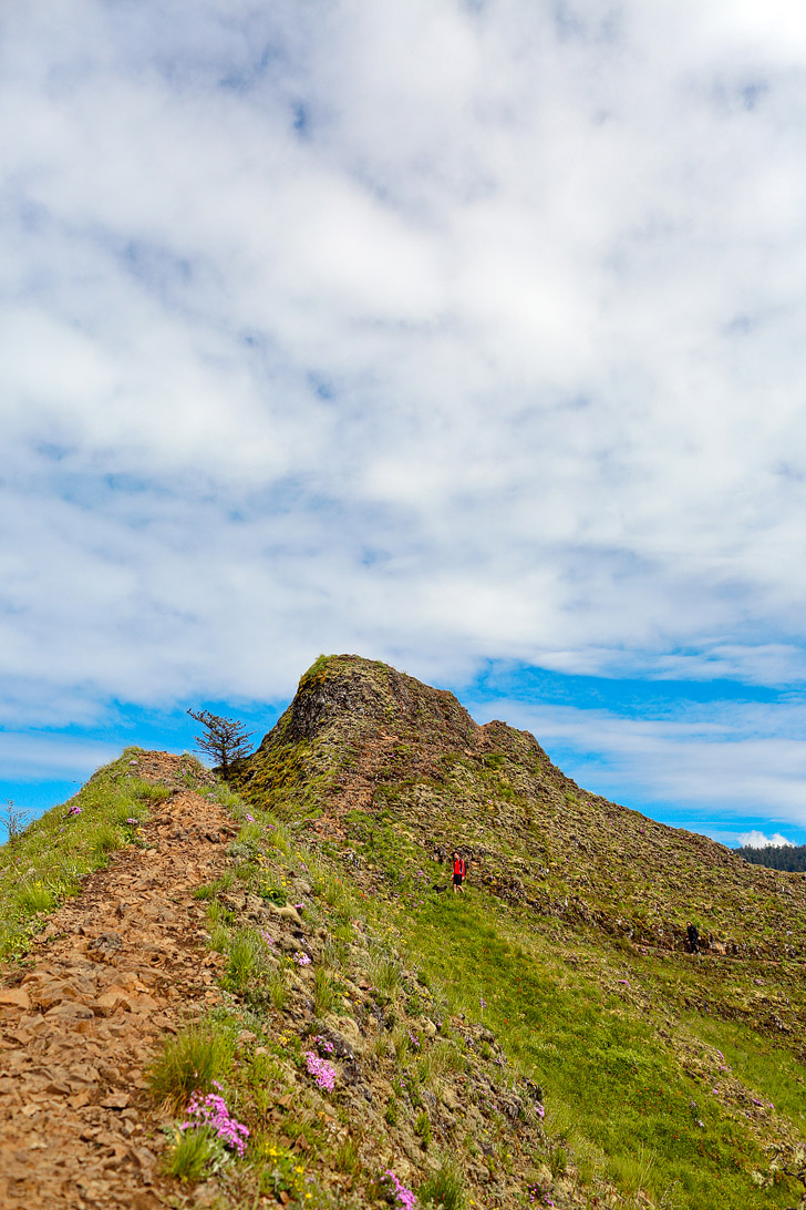 Tips for Hiking to Munra Point Oregon // localadventurer.com