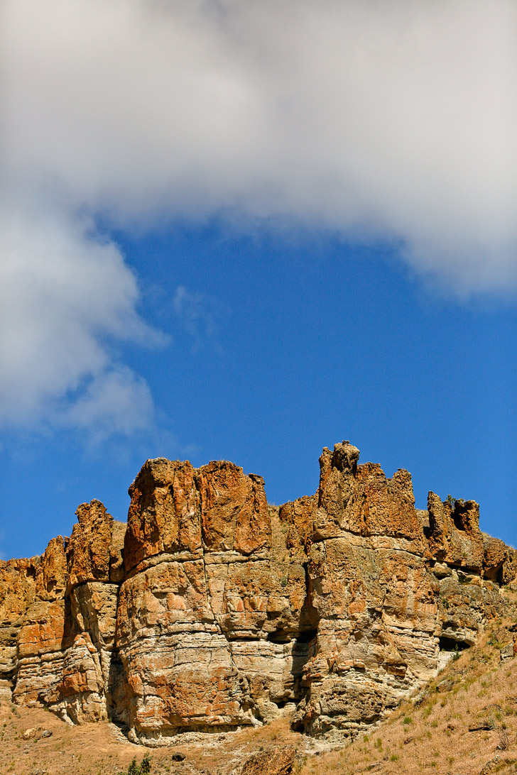 Clarno Unit + Your Essential Guide to the John Day Fossil Beds National Monument // localadventurer.com