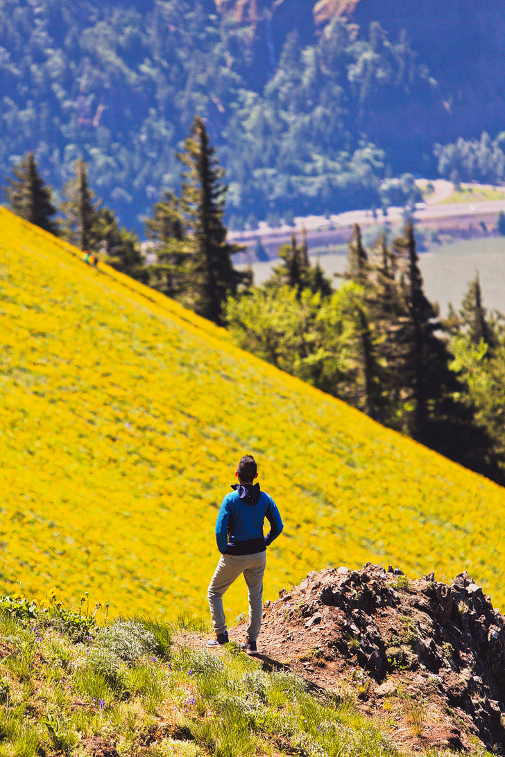 Dog Mountain Trail, Columbia RIver Gorge National Scenic Area, Washington // localadventurer.com