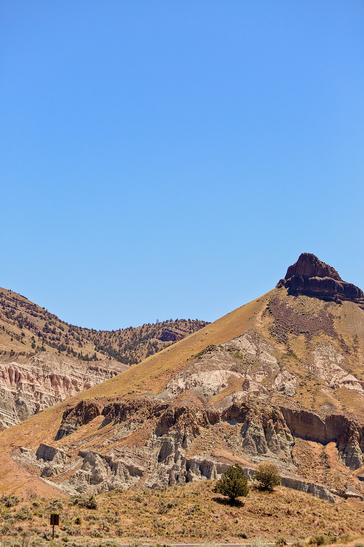 Your Guide to John Day Fossil Beds Sheep Rock Unit, Eastern Oregon // localadventurer.com