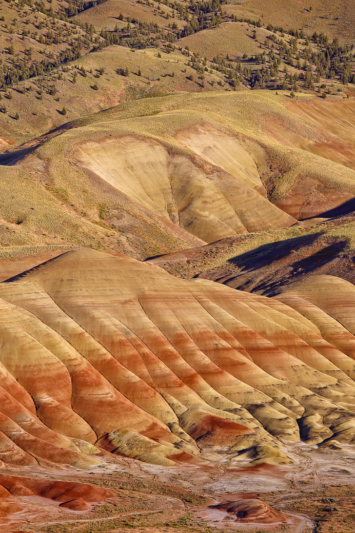 Carroll Rim Trail, Painted Hills Unit, John Day Fossil Beds National Monument Oregon // localadventurer.com