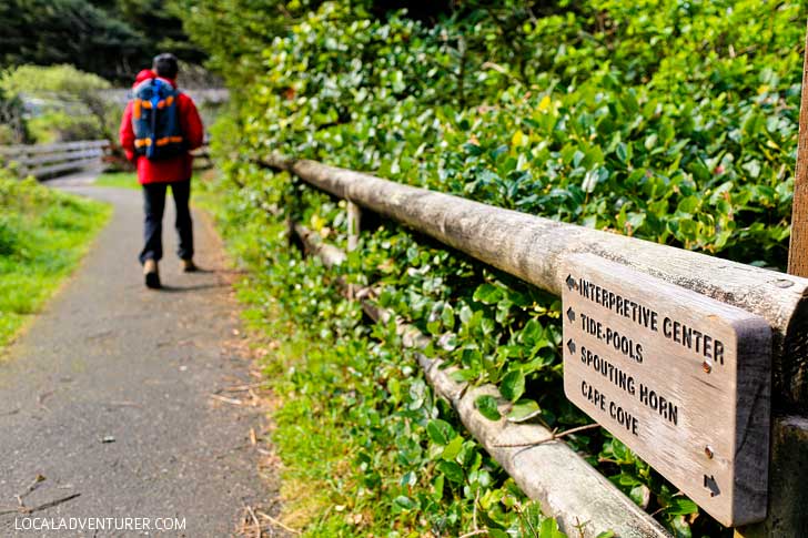 Cape Perpetua Hike on the Oregon Coast + How to Get There and When to Visit // localadventurer.com