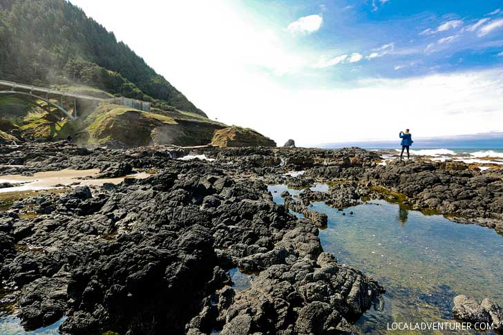 Cape Perpetua Scenic Area on the Oregon Coast + How to Get There and When to Visit // localadventurer.com