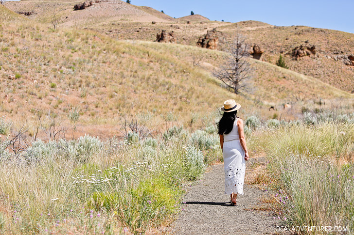 Clarno Unit + Your Essential Guide to the John Day Fossil Beds National Monument // localadventurer.com