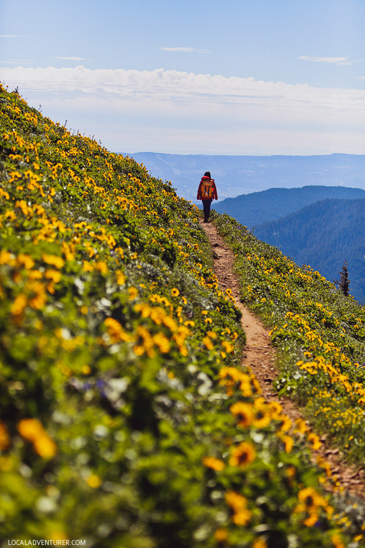 Dog Mountain Hike Washington - Best Wildflowers Near Portland Oregon