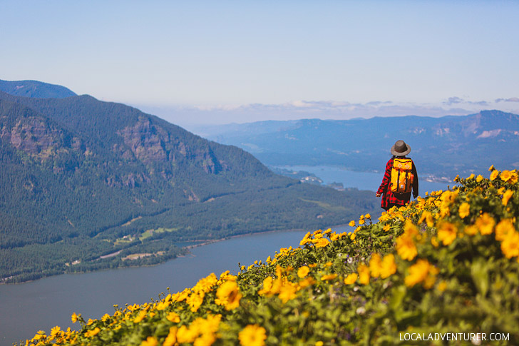 Dog Mountain, Columbia River Gorge, Washington, USA // localadventurer.com