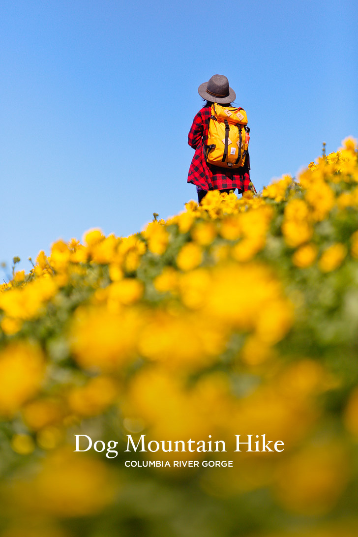 The Best Wildflower Hike Near Portland - Dog Mountain Trail, Columbia River Gorge, Washington // localadventurer.com