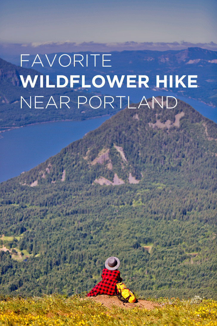 The Best Wildflower Hike Near Portland - Dog Mountain Trail, Columbia River Gorge, Washington // localadventurer.com