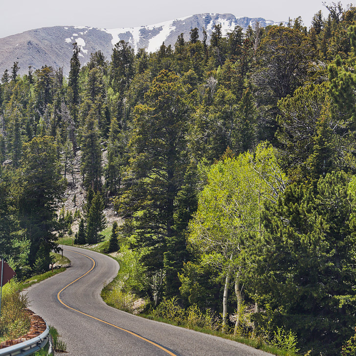 Great Basin National Park Directions and Road Conditions + More Tips for Your Visit // localadventurer.com