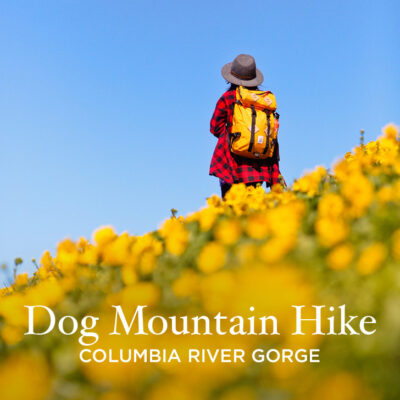Hiking Dog Mountain - Best Wildflower Hike Near Portland Oregon // localadventurer.com