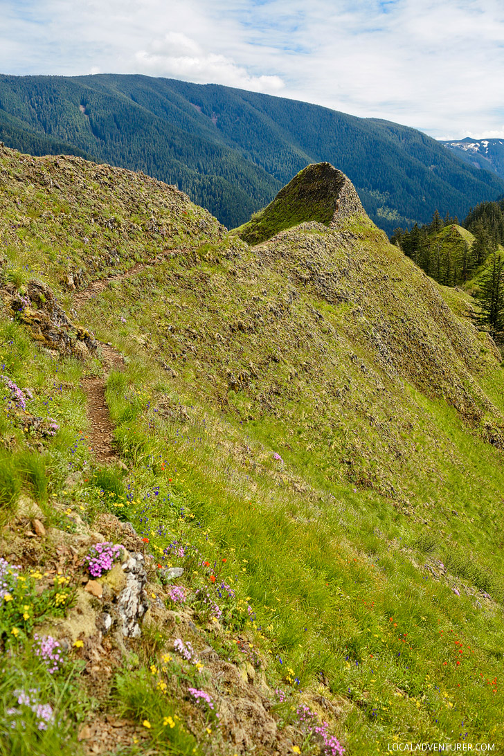 Munra Point, Columbia River Gorge, Oregon // localadventurer.com