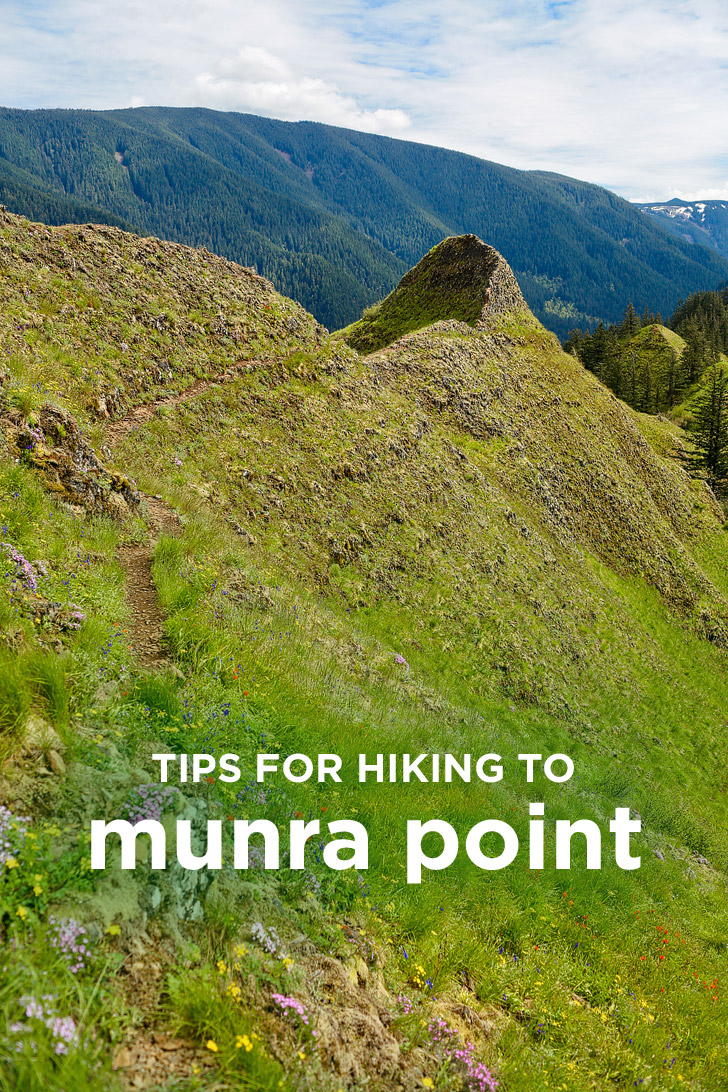 Tips for the Munra Point Hike, Columbia River Gorge, Oregon // localadventurer.com