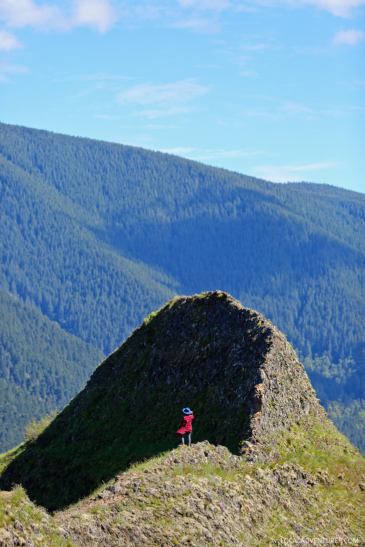 Tips for the Munra Point Hike, Columbia River Gorge, Oregon // localadventurer.com