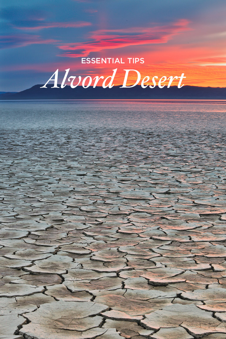 Essential Tips for Visiting the Alvord Desert Oregon // localadventurer.com