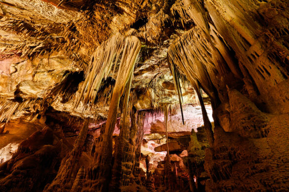 Lehman Caves Tours Great Basin National Park - What You Need to Know