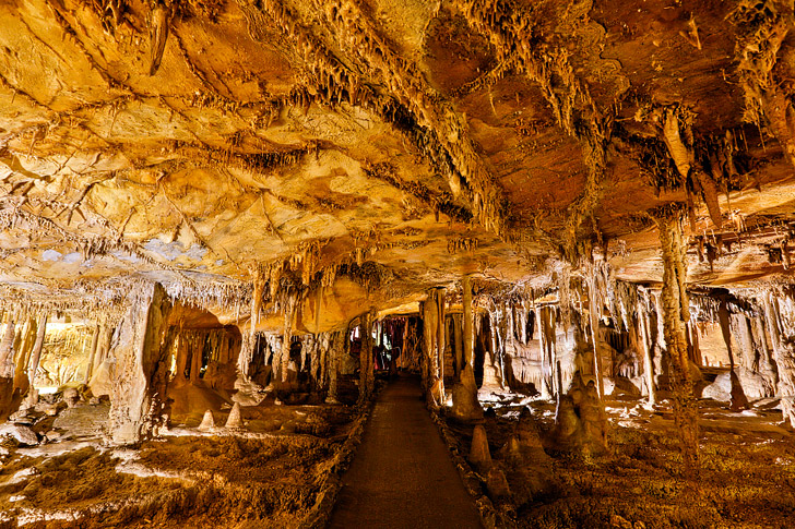 Lehman Caves Nevada - Everything You Need to Know About Your Visit // localadventurer.com