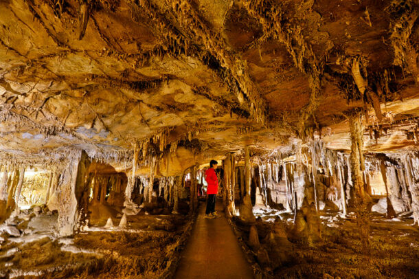 lehman cave tours