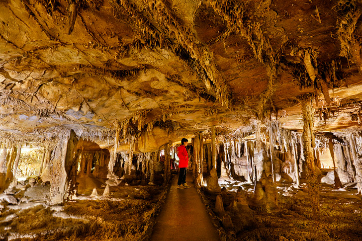 Lehman Caves, Great Basin National Park, Nevada - Everything You Need to Know // localadventurer.com