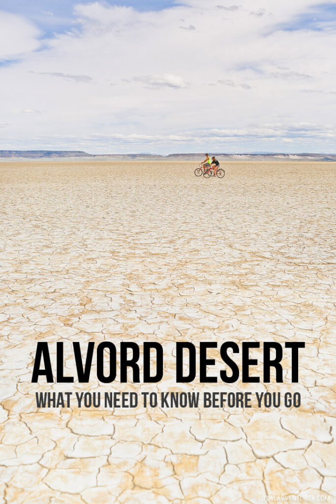 Alvord Desert Oregon - What You Need to Know Before You Go // localadventurer.com