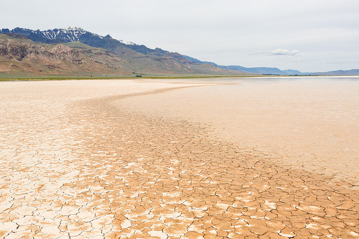 Alvord Desert and Steens Mountain in the Back, Eastern Oregon Road Trip // localadventurer.com