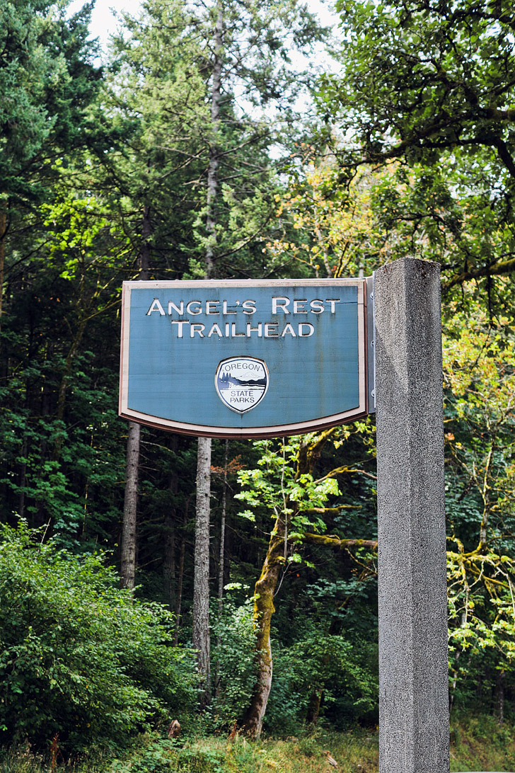 Angels Rest Trailhead, Columbia River Gorge, Oregon // localadventurer.com
