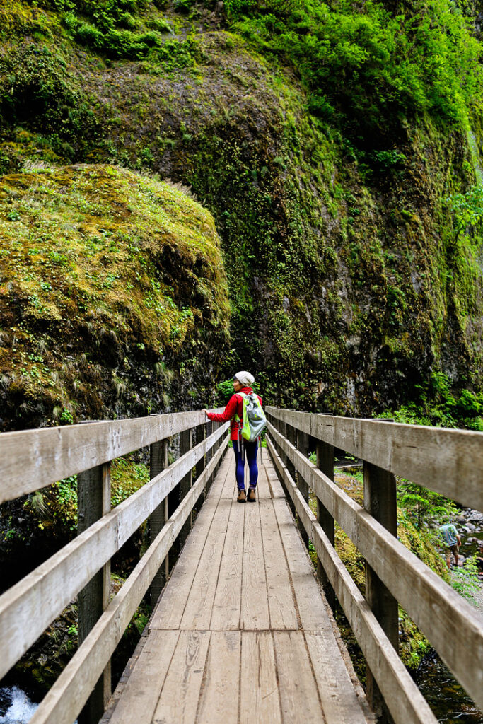 Wahclella Falls Hiking Guide, Columbia River Gorge _ Easy Hikes Near Portland Oregon // localadventurer.com