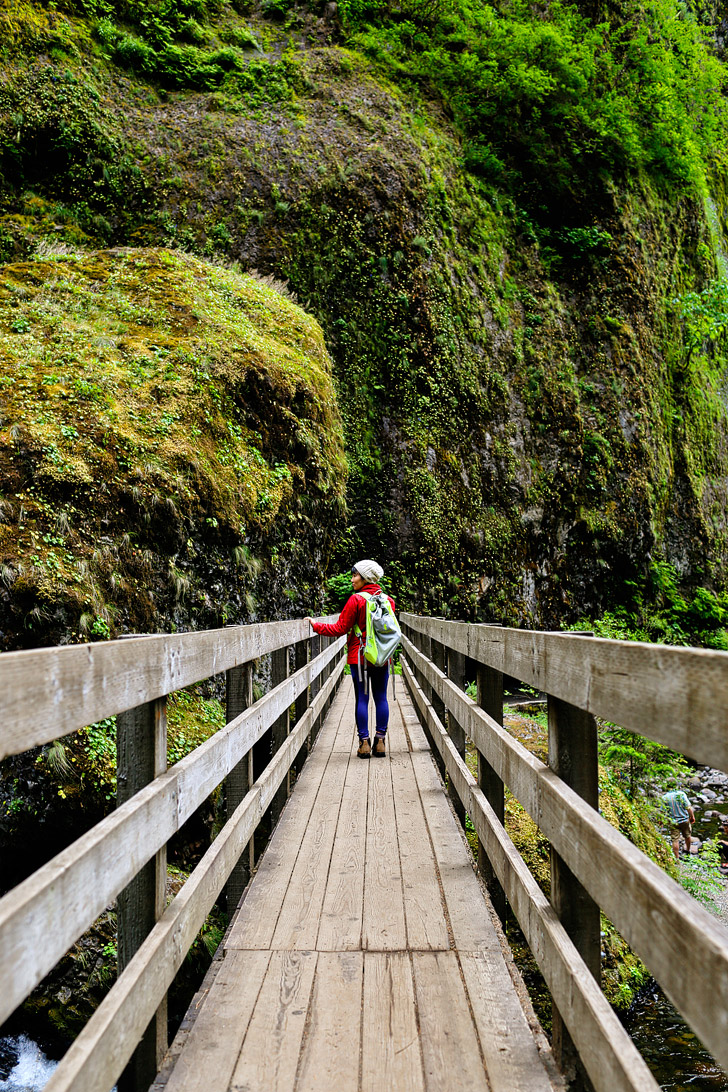 Wahclella Falls Hike, Columbia River Oregon » Local Adventurer