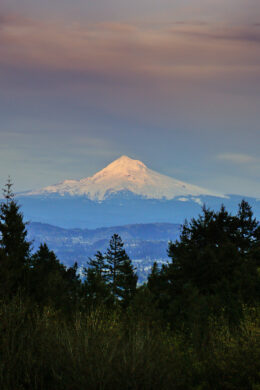 Where to Find the Best Views in Portland Oregon » Local Adventurer