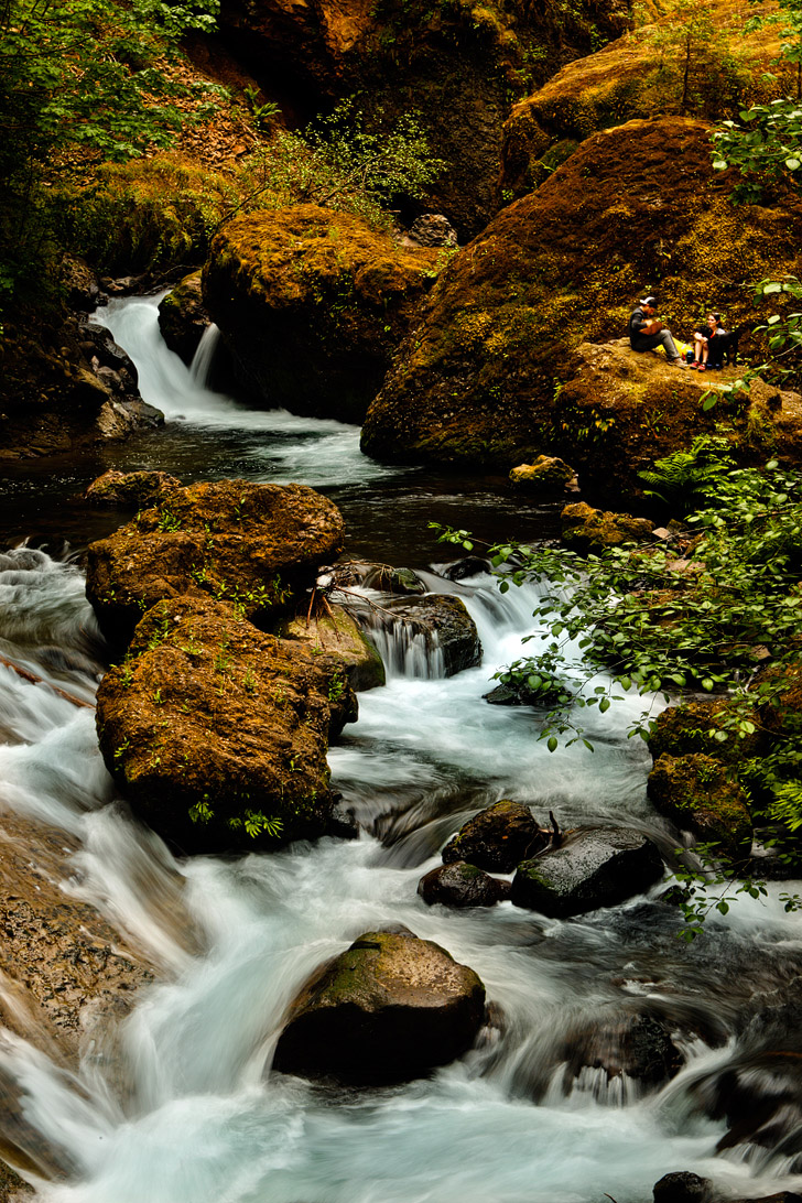 Wahclella Falls, Columbia River Gorge Waterfalls, Oregon Hiking Trails // localadventurer.com