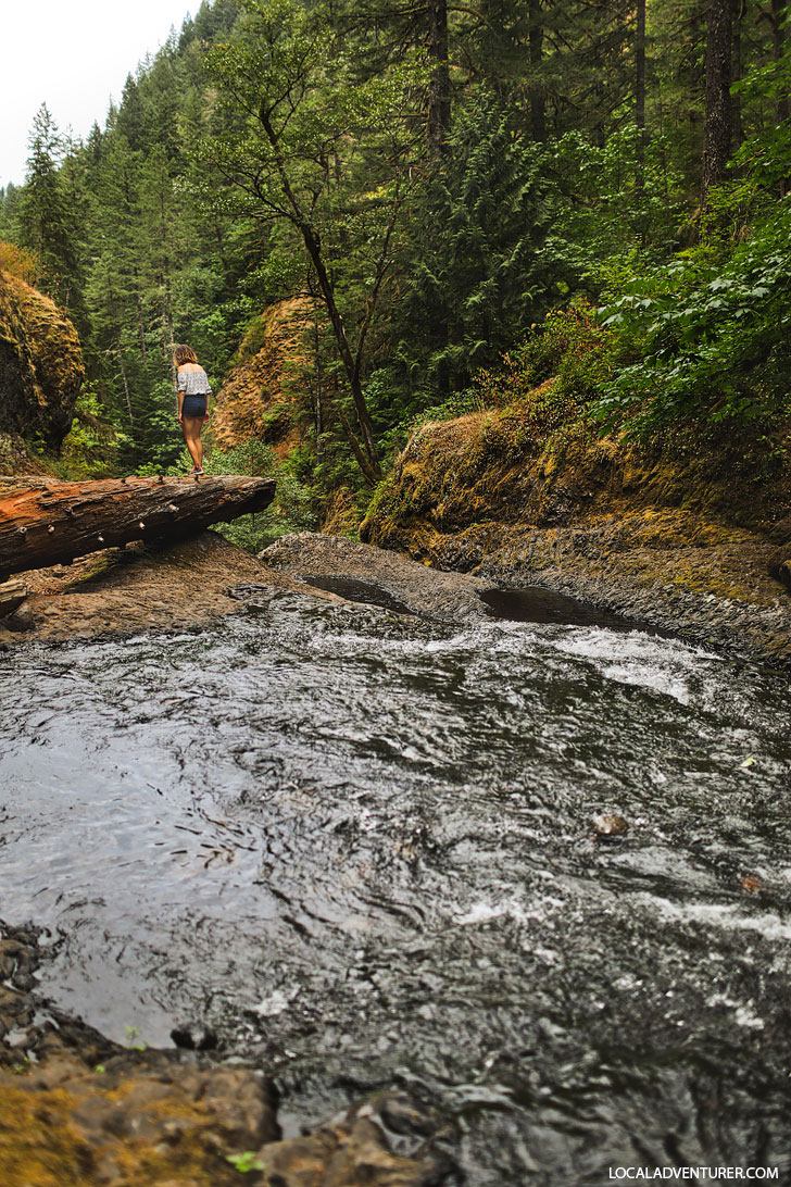 Your Essential Guide to the Triple Falls Hike, Oregon - Hiking in the Columbia River Gorge // localadventurer.com