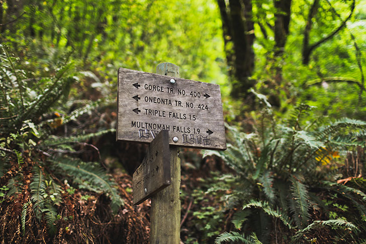 Triple Falls Trail, Columbia River Gorge, Oregon // localadventurer.com