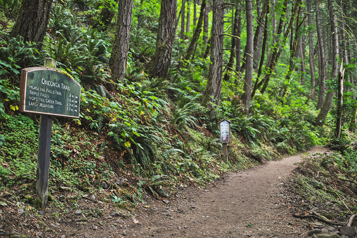 Hiking the Triple Falls Trail, Columbia River Gorge, Oregon // localadventurer.com