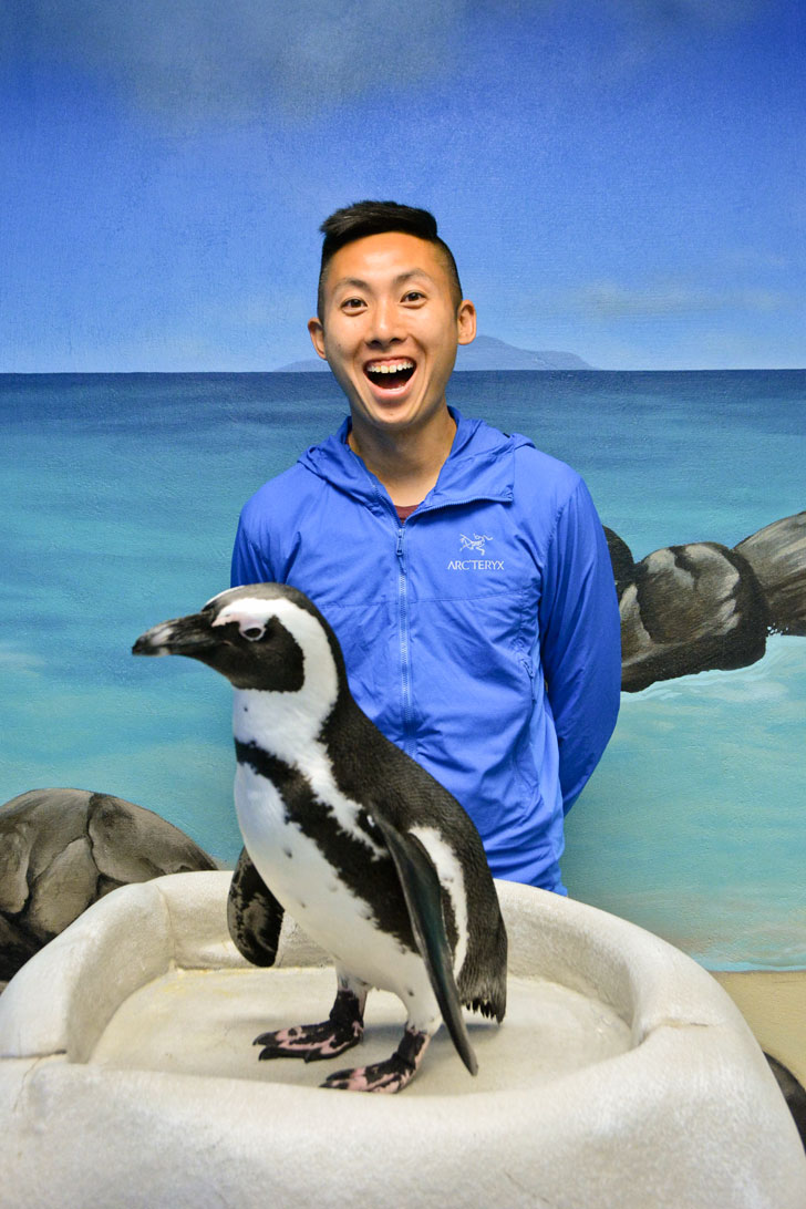 Penguin Encounter + Best Things to Do in the Georgia Aquarium / Atlanta Aquarium Tips // localadventurer.com