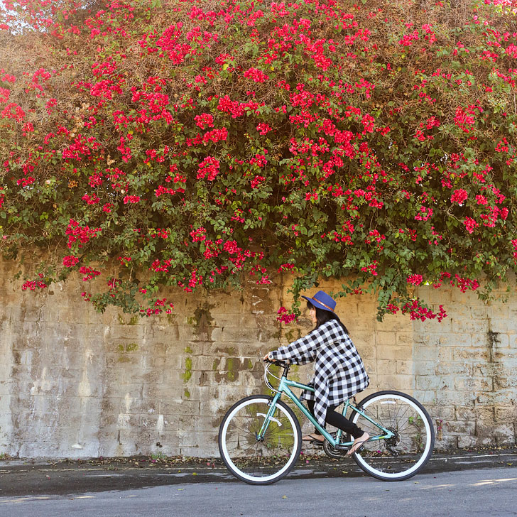 Biking in Irvine (there are over 54 mi of trails here) + 13 Unique and Fun Things to Do in Irvine California + Essential Tips for Your Visit // localadventurer.com