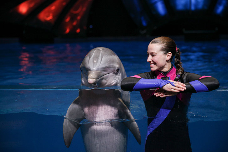 georgia aquarium dolphin show