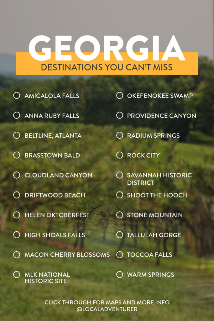 20 Best Things to Do in Georgia State