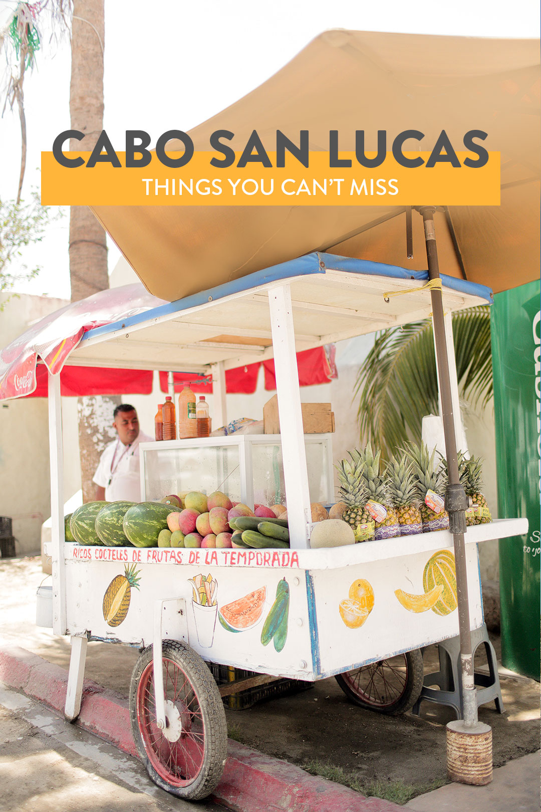 Cabo San Lucas Things to Do