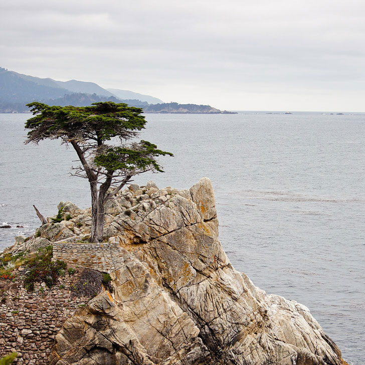 The 17 Mile Drive in Monterey California - Your Essential Pacific Coast Highway Road Trip Guide // Local Adventurer