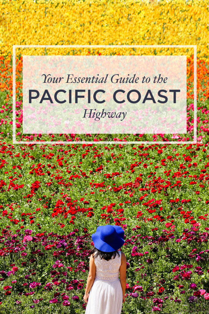Your Essential Guide to the California Pacific Coast Highway - Places You Must Visit along Hwy 1 - A San Francisco to San Diego Road Trip and Beyond // localadventurer.com