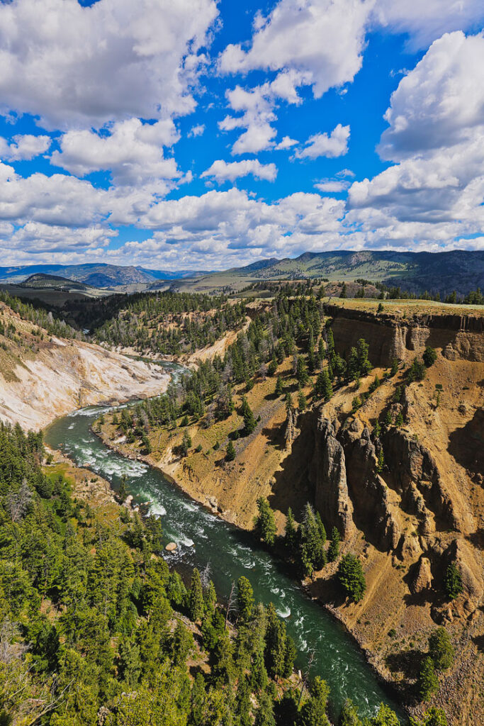 Tower Fall + The Ultimate Guide to Yellowstone National Park - Best Things to Do in Canyon Village, Fishing Bridge, Madison, Mammoth Hot Springs, Norris, Old Faithful, and Tower Roosevelt Areas // Local Adventurer