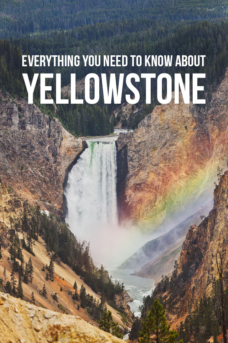 The Best of Yellowstone National Park - Your essential guide to attractions, day hikes, where to spot wildlife, and more // Local Adventurer