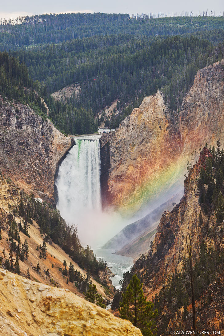 Lower Falls, Yellowstone National Park - Best Yellowstone Attractions, Day Hikes, and More // Local Adventurer