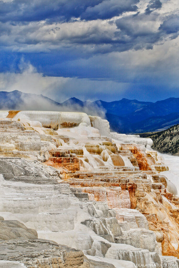 Mammoth Hot Springs at Yellowstone National Park + Tips for Your Visit // Local Adventurer